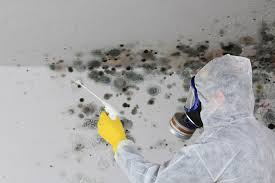 Best Crawl Space Mold Remediation  in Ashton, ID